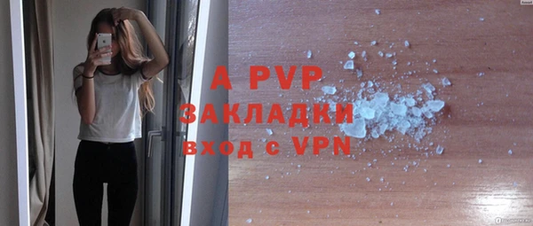 ешки Богданович