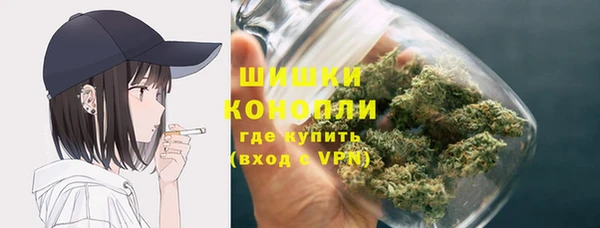 ешки Богданович