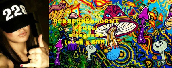 ешки Богданович