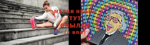 бошки Белокуриха