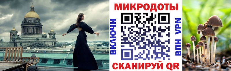 закладка  Бирюч  ОМГ ОМГ ССЫЛКА  Псилоцибиновые грибы GOLDEN TEACHER 